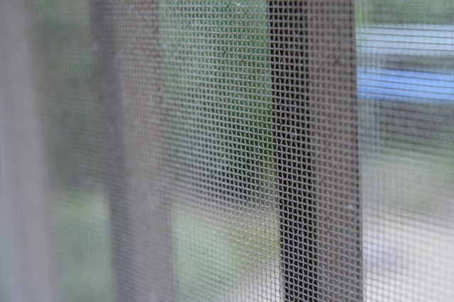 坪井ガラス商店「アミ戸」